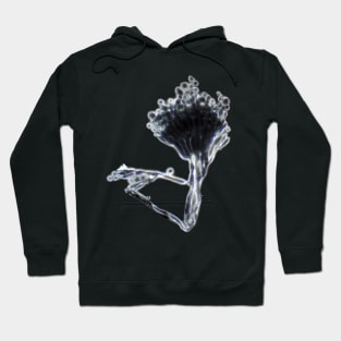 Penicillium mold under the microscope Hoodie